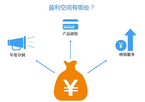 魚袋營銷軟件 店鋪裝修與產品圖片的網絡技術服務
